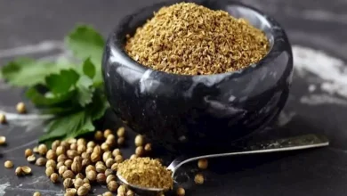 صورة إليك ما تفعله الكزبرة في صحتك.. 3 فوائد مذهلة