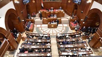 صورة أبو الوفا: التوجيه الرئاسي بإلغاء تعدد الرسوم يعيد الثقة بين المستثمر والدولة