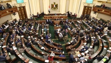 صورة مجلس النواب يستقبل وزير قطاع الأعمال لاستعراض استراتيجية الفترة المقبلة