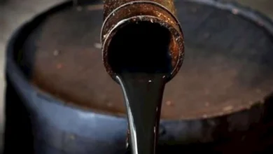 صورة البترول تثبت سعر مازوت الكهرباء والصناعات الغذائية وغاز السيارات