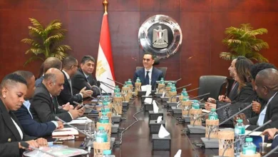 صورة وزير الاستثمار يبحث مع “فوداكوم” وفودافون” فرص الاستثمار في مصر