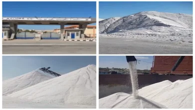 صورة مع الاحتفال بعيد تحرير سيناء.. شركات قطاع الأعمال تواصل دعمها لمشروعات التنمية في أرض الفيروز