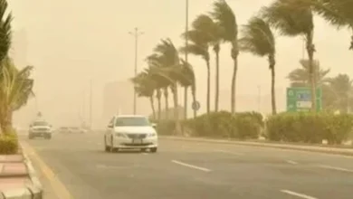 صورة القيادة في قلب العاصفة.. نصائح مهمة لحماية نفسك وسيارتك