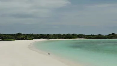 صورة أحدث ظهور لـ ياسمين صبري من المالديف.. والجمهور يعلق