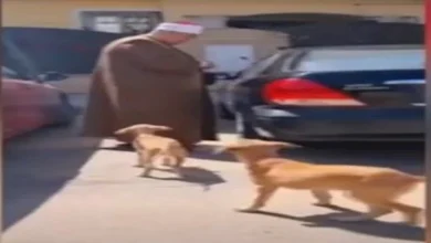 صورة “الراحمون يرحمهم الله”.. شيخ يتصدر الترند بعد فيديو إطعام الكلاب (فيديو)
