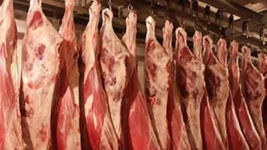 صورة القصابين: استقرار الدولار والأعلاف يدعمان ثبات أسعار اللحوم رغم زيادة