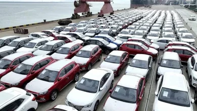 صورة كهربائية وبنزين.. قائمة بأبرز السيارات الكروس أوفر التي دخلت مصر 2025
