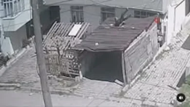 صورة لحظات تحبس الأنفاس.. رجل يقفز من النافذة هربا من الزلزال في إسطنبول (فيديو)