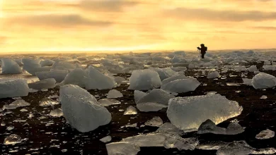 صورة 16 صورة لـ أغرب الشواطئ في العالم – ستصيبك بالدهشة