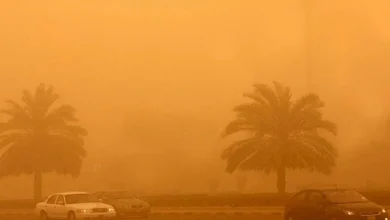 صورة “استعدوا للأسوأ”.. تأثيرات خطيرة على جسمك عند التعرض لرياح الخماسين