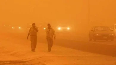 صورة احذروا العاصفة الترابية.. طبيب يكشف تأثيرها على مرضى الجيوب الأنفية ونصائح للتعامل معها