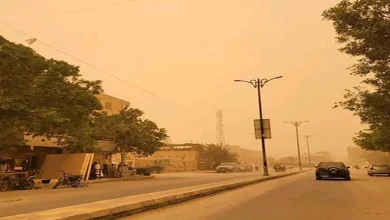 صورة عاصفة ترابية ورياح خماسين – ماذا يحدث لجسمك عند الخروج في الطقس الحالي؟.. ونصائح لحماية نفسك