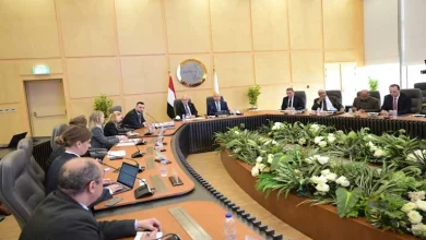 صورة كامل الوزير يستقبل سفير السويد لبحث التعاون المشترك في النقل والصناعة