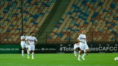 صورة صدمة شيكابالا وانهيار الجمهور.. ما لم تشاهده في مباراة الزمالك وستيلينبوش (صور)