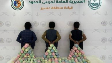 صورة عسير: القبض على 3 مخالفين لتهريبهم 66 كيلوجرامًا من نبات القات  أخبار السعودية