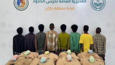 صورة القبض على 8 مخالفين لنظام أمن الحدود لتهريبهم 144 كيلوجرامًا من نبات القات  أخبار السعودية