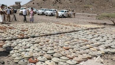 صورة بـ 240 مليون دولار.. السعودية تكافح الألغام وتحمي المدنيين حول العالم  أخبار السعودية