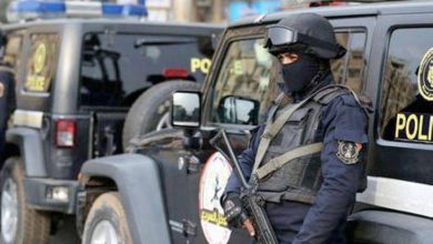 صورة خدعة كبرى.. «سيدة» تستولي على 260 مليون جنيه من 50 شركة !  أخبار السعودية