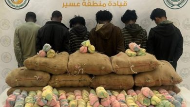 صورة عسير: القبض على 6 مخالفين لنظام أمن الحدود لتهريبهم 225 كيلوغراماً من «القات»  أخبار السعودية