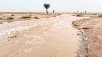 صورة «البيئة» ترصد الهطول في 8 مناطق.. تبوك الأعلى بـ 10.8 ملم  أخبار السعودية