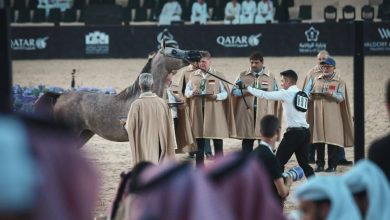 صورة 12 متأهلاً لنهائي «جولة الرياض» للجياد العربية  أخبار السعودية