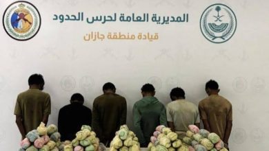 صورة القبض على 6 مخالفين بجازان لتهريبهم 140 كيلوغراماً من القات  أخبار السعودية