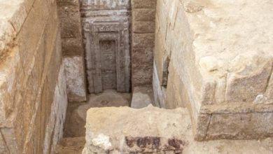 صورة «باب وهمي» يقود مصر لكشف أسرار «سقارة» !  أخبار السعودية