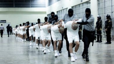 صورة لماذا أوقفت محكمة أمريكية ترحيل مهاجرين فنزويليين إلى السلفادور؟  أخبار السعودية