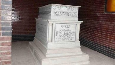 صورة كشف أسرار فتح قبر عبدالحليم حافظ  أخبار السعودية