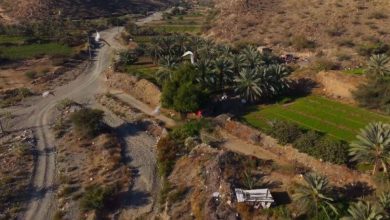 صورة الثبيتي لـ «عكاظ»: جمال قرن المنازل يفوز بأفلام السعودية  أخبار السعودية