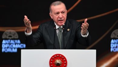 صورة أردوغان: مجازر “إسرائيل” في قطاع غزة أظهرت مدى زيف ما يُسمى بـ”القيم الغربية”
