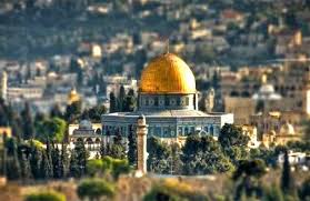 صورة فلسطين: قلبٌ ينبض بالصمود والأمل
