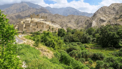 صورة هيئة التراث تنفذ مبادرة استقبال ومعايدة زوار قرية ذي عين التراثية