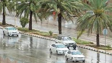 صورة طقس الثلاثاء.. أمطار رعدية مصحوبة بزخات من البرد ورياح نشطة على عدة مناطق