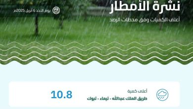 صورة «البيئة» ترصد هطول أمطار في 8 مناطق وتبوك الأعلى كمية بـ 10.8 ملمترات