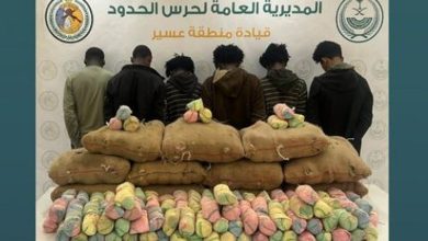 صورة القبض على 6 مخالفين بمنطقة عسير لتهريبهم 225 كيلوجرامًا من نبات القات