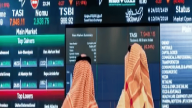صورة الاستثمار بالأسهم أكثر ربحية حال مراعاة شروطه