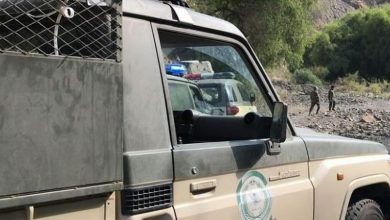 صورة القبض على شخص بمنطقة جازان لترويجه 67 كيلوجرامًا من نبات القات
