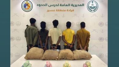 صورة القبض على 5 مخالفين بمنطقة عسير لتهريبهم 80 كيلوجرامًا من نبات القات