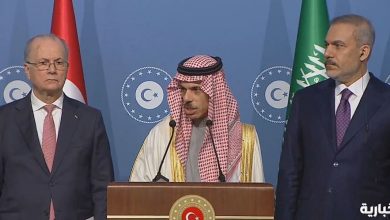 صورة وزير الخارجية يطالب بممارسة «كافة الضغوط» على إسرائيل لدخول المساعدات إلى غزة