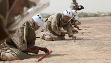 صورة مشروع “مسام” ينزع 955 لغمًا في اليمن خلال أسبوع