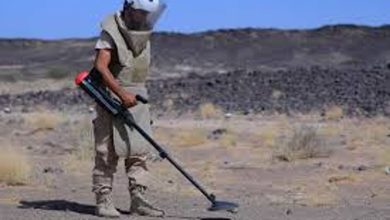 صورة مشروع “مسام” ينتزع 1.050 لغمًا في اليمن خلال أسبوع