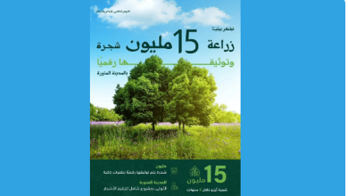 صورة أمانة المدينة المنورة تعلن مبادرة لزراعة 15 مليون شجرة لتعزيز جودة الحياة