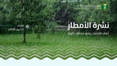 صورة «البيئة» ترصد هطول أمطار في 6 مناطق عبر 41 محطة والأسياح تسجل أعلى كمية بـ24.5 ملم بالقصيم