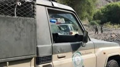 صورة القبض على 9 أشخاص بمنطقة عسير لتهريبهم 59 كيلوجرامًا من نبات القات