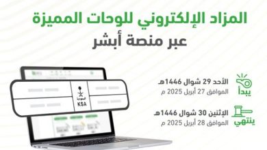 صورة المرور: طرح مزاد اللوحات الإلكتروني غدًا الأحد
