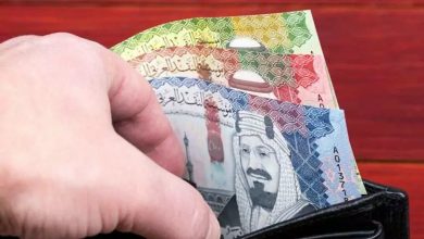 صورة سعر الريال مقابل الجنيه المصري والعملات العربية اليوم الإثنين 30101446