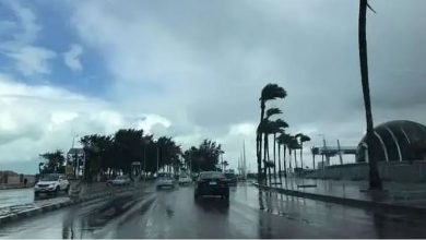 صورة طقس المملكة الأربعاء.. أمطار رعدية ورياح نشطة مثيرة للأتربة على عدة مناطق