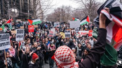 صورة “أيدت فلسطين”.. قاض أمريكي يحدد جلسة للنظر بقضية طالبة تركية معتقلة