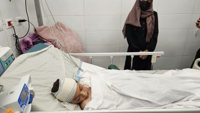 صورة إيطاليا تعلن استعدادها لاستقبال الطفل الناجي من عائلة الطبيبة آلاء النجار في غزة